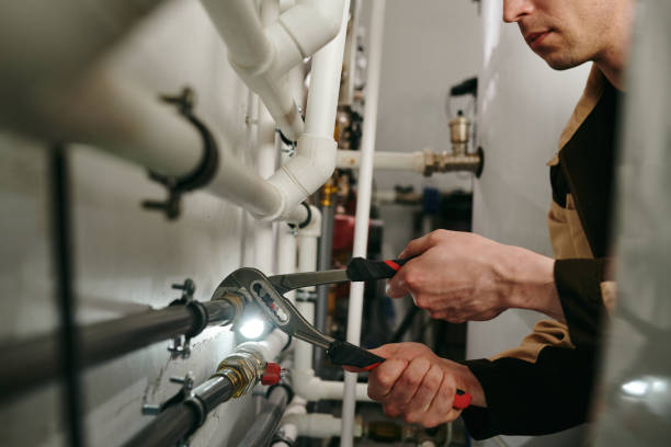 Best Plumbing Repair Near Me  in Wells, NV