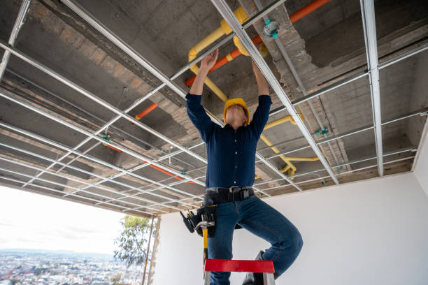 Best Leak Detection Services  in Wells, NV