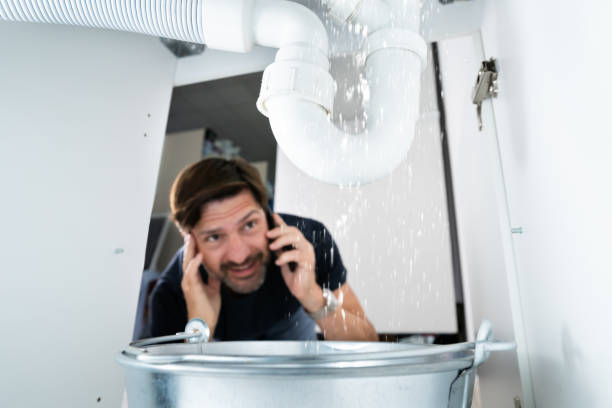 Best Commercial Plumbing Services  in Wells, NV