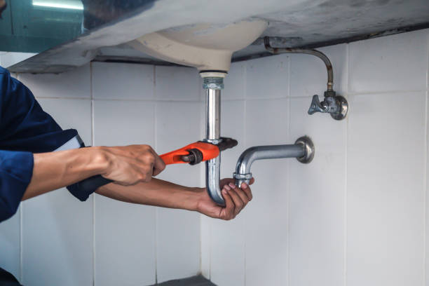 Best Residential Plumbing Services  in Wells, NV