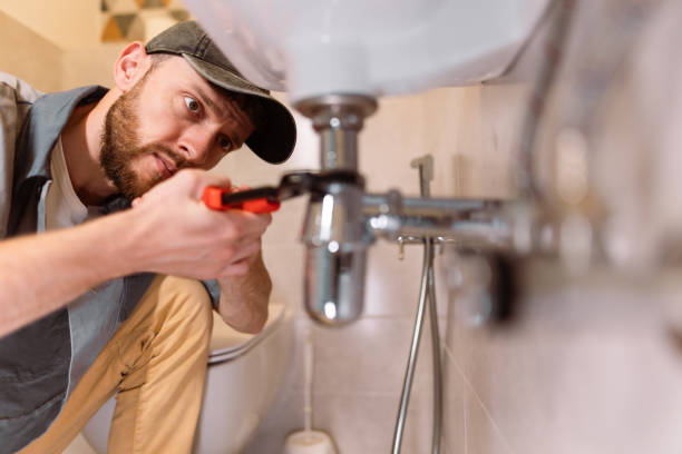 Best Emergency Plumbing Repair  in Wells, NV