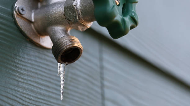 Best Septic Systems  in Wells, NV