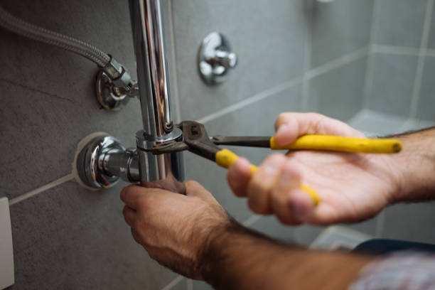 Best Affordable Plumber Near Me  in Wells, NV