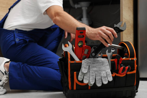 Best Drain Cleaning Services  in Wells, NV