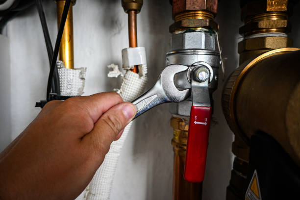 Best 24-Hour Plumber Near Me  in Wells, NV